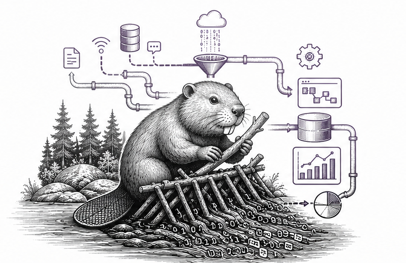 Big Data Beaver